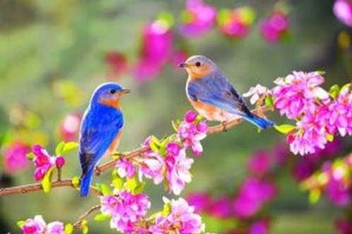 Le printemps